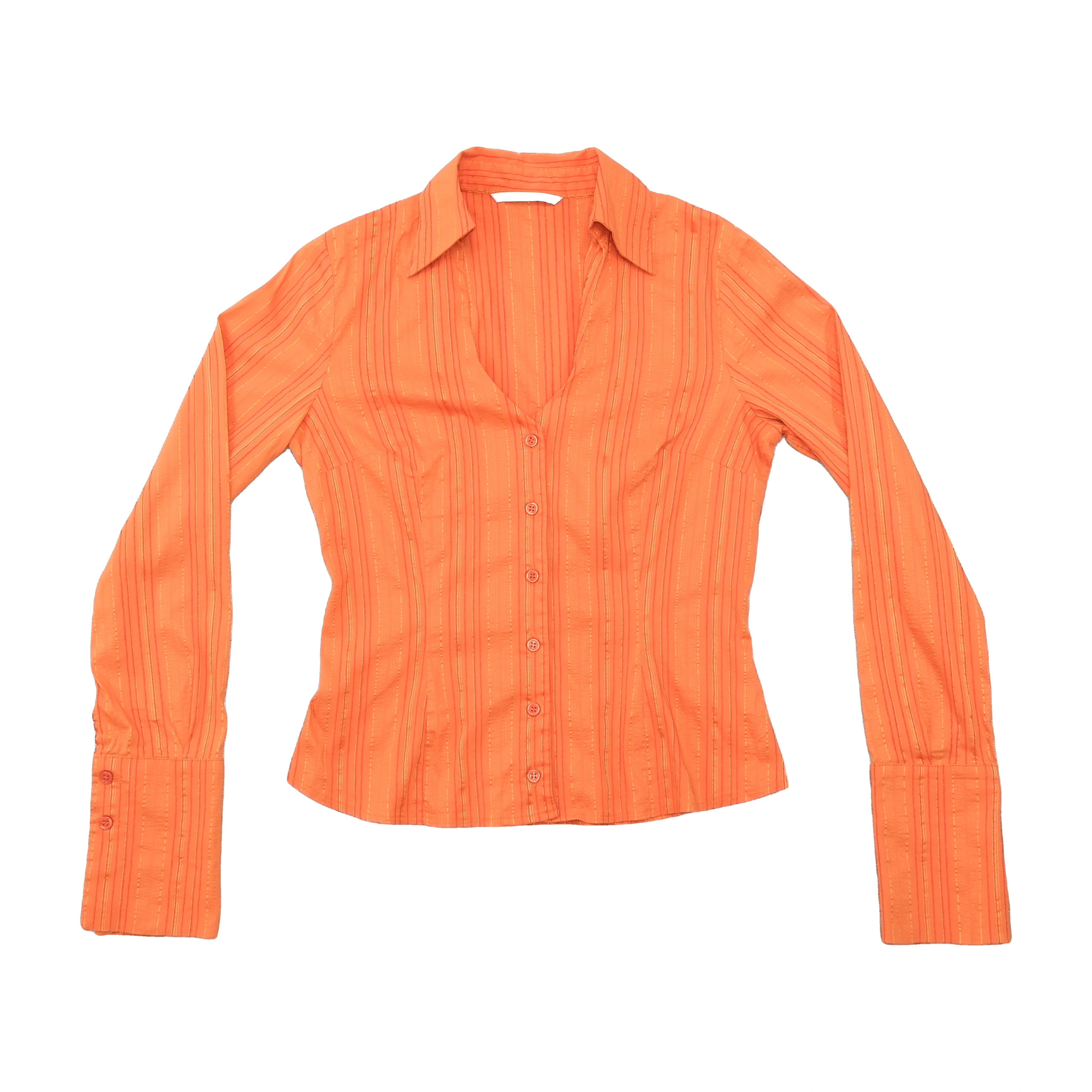 Xanaka Sheer Metallic Stripe Fitted Blouse