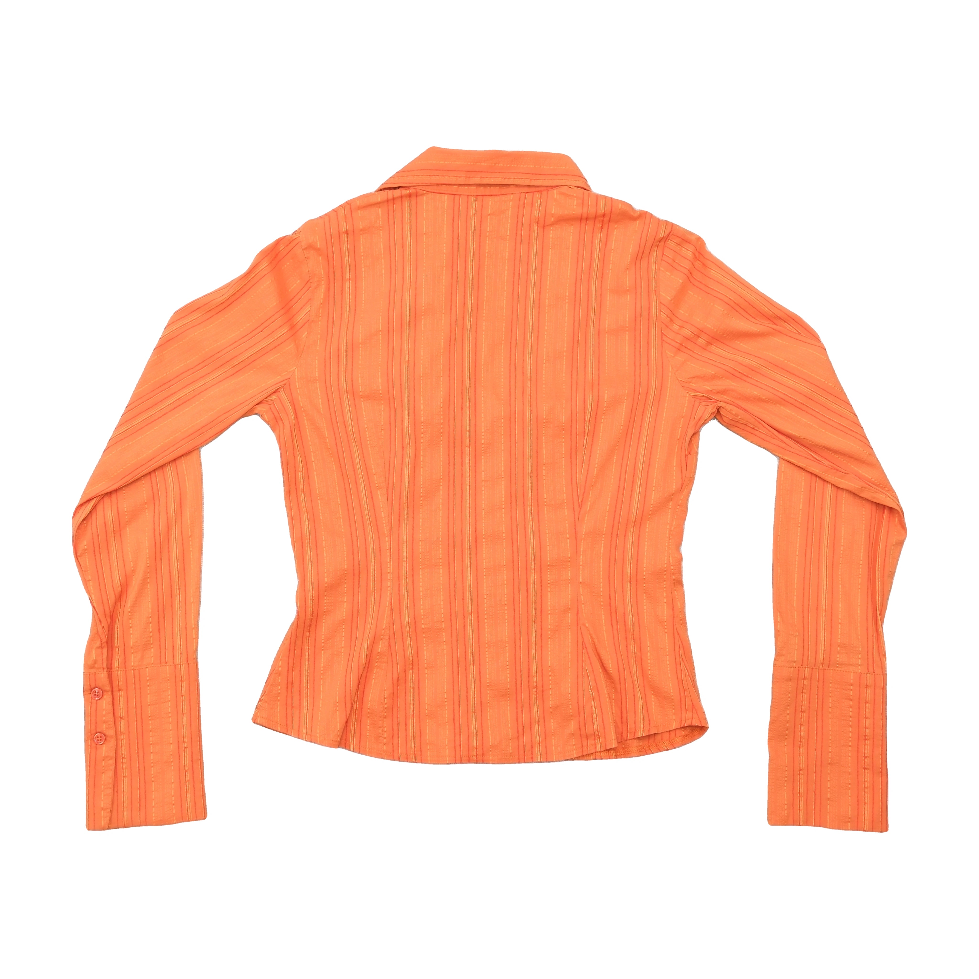 Xanaka Sheer Metallic Stripe Fitted Blouse