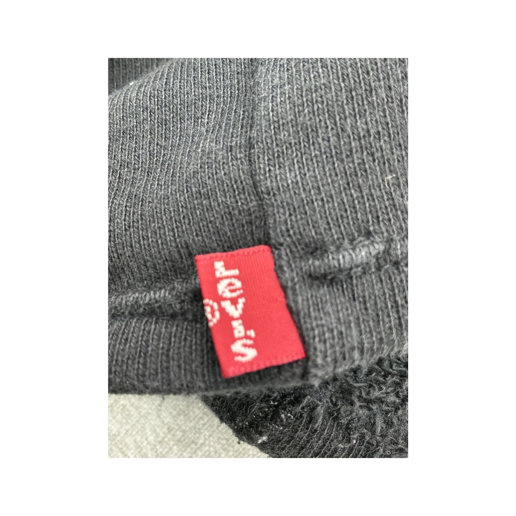 Levi’s Batwing Logo Pullover Fleece Hoodie