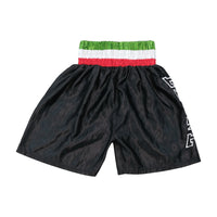 Leone 1947 Italian Tricolor Boxing Shorts