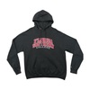 Champion Florida Southern College Graphic Cotton Blend Fleece Hoodie