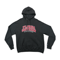 Champion Florida Southern College Graphic Cotton Blend Fleece Hoodie