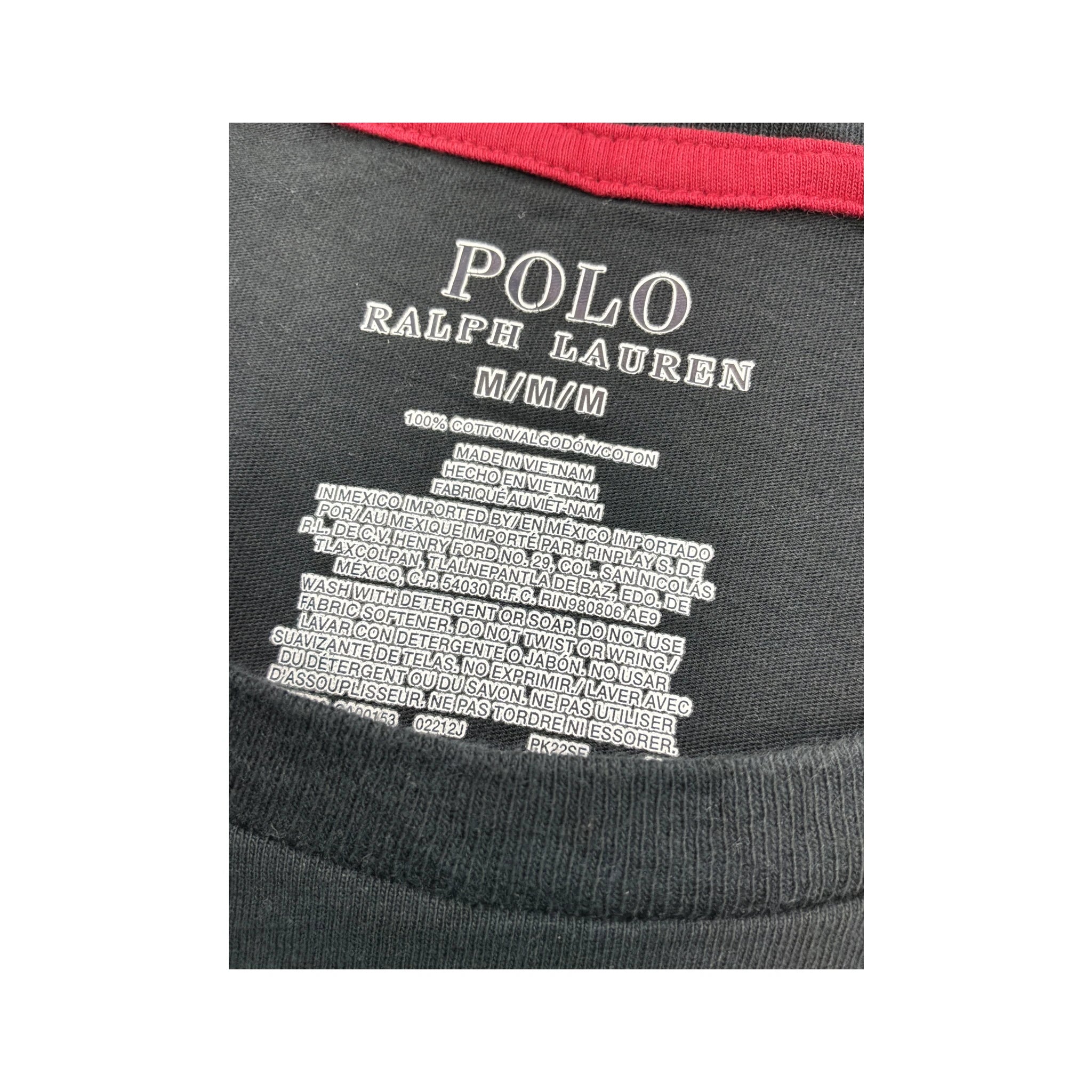 Polo Ralph Lauren Multicolor Logo Cotton Long Sleeve Shirt