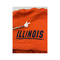 Sweatshirt com capuz Nike Team Illinois com logótipo Bordado