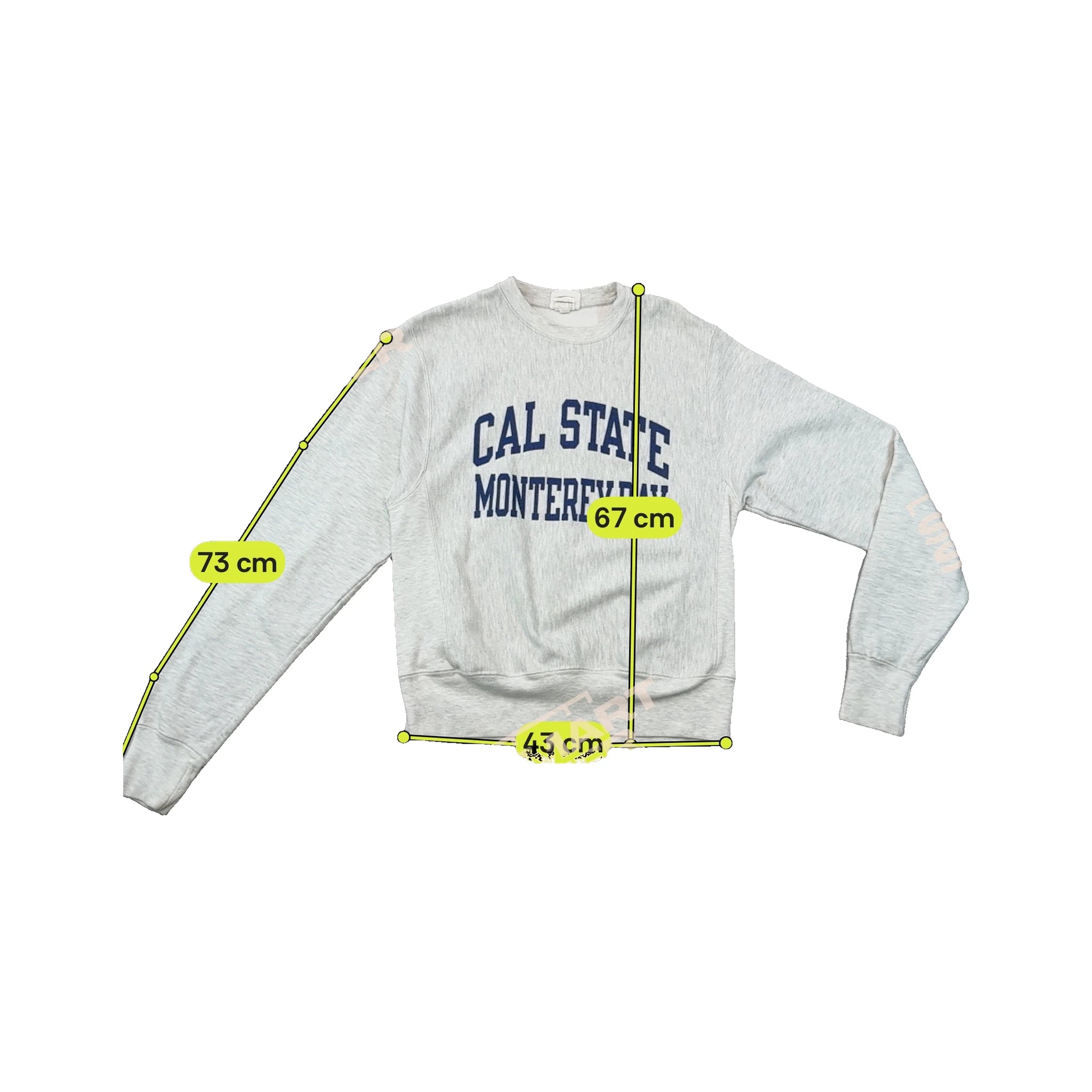 Champion Reverse Weave Cal State Monterey Bay Cotton Blend Sweatshirt