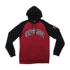 Champion Carnegie Mellon Colorblock Raglan Hoodie Fleece