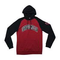 Champion Carnegie Mellon Colorblock Raglan Hoodie Fleece