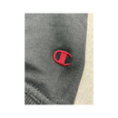 Champion Carnegie Mellon Colorblock Raglan Hoodie Fleece