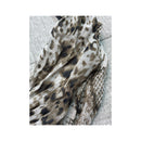 NATURAL B Animal Print Sheer Ruffle Trim Blouse