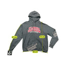 Champion Florida Southern College Graphic Cotton Blend Fleece Hoodie