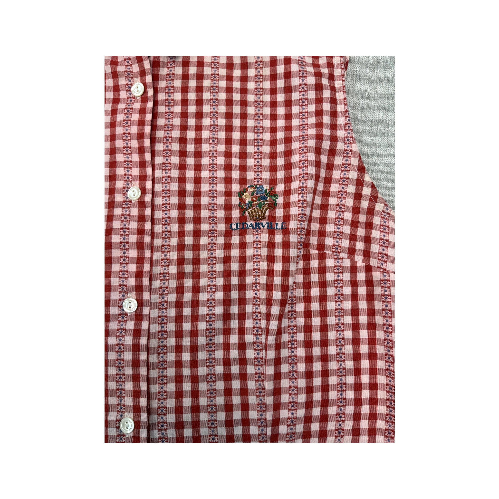 Cedarville Red Gingham Stripe Sleeveless Button-Up Shirt