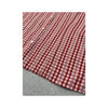 Cedarville Red Gingham Stripe Sleeveless Button-Up Shirt