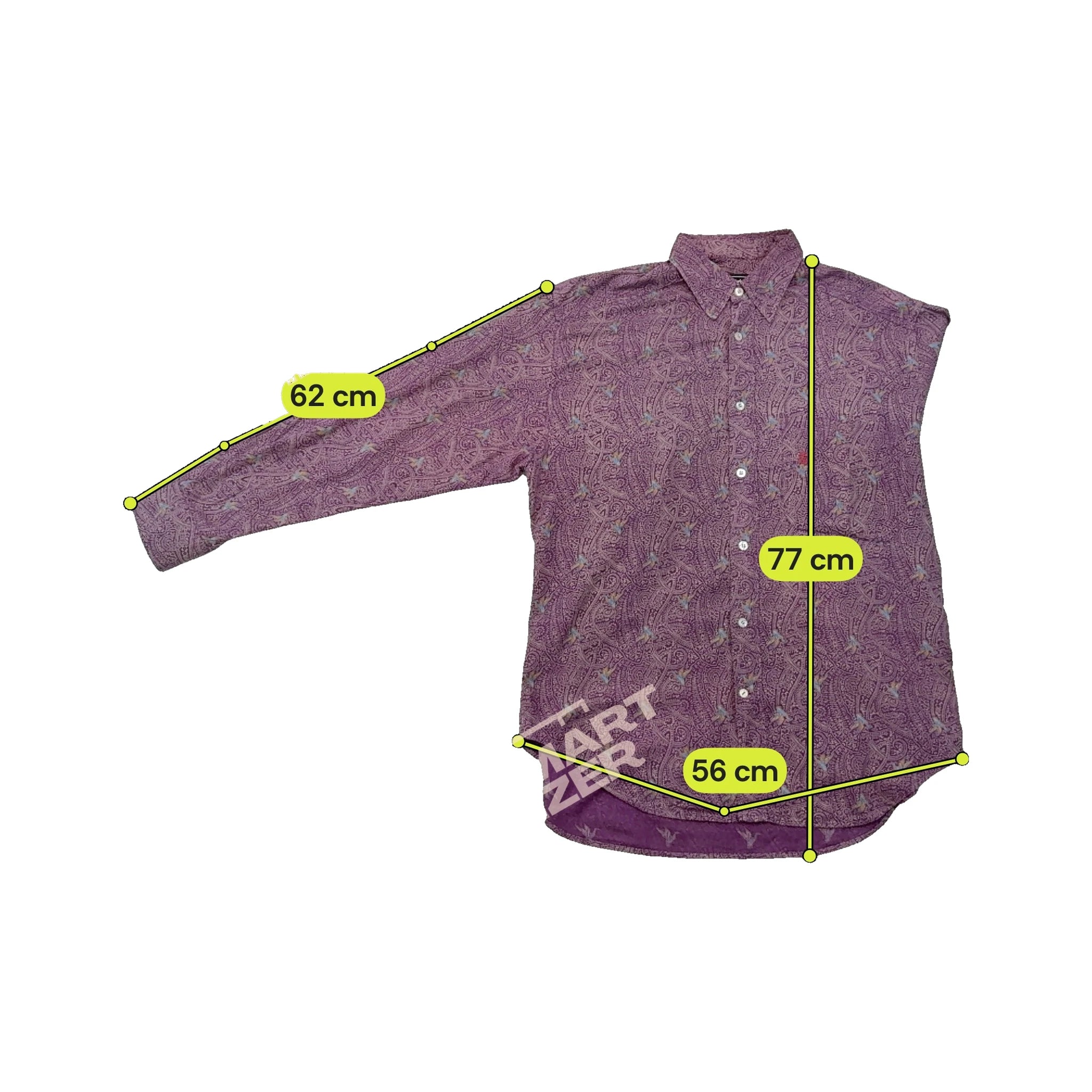 Camisa Massimo Vannucci vintage com estampado Paisley e de Aves