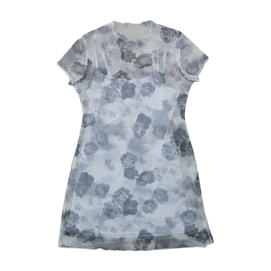 Vintage Mesh Mini Dress Watercolour Rose Print Gray S