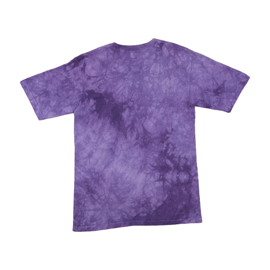 The Mountain Penguin Graphic T-Shirt Acid-Wash Purple L