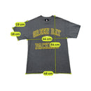 NFL Team Apparel Green Bay Packers Graphic Shirt