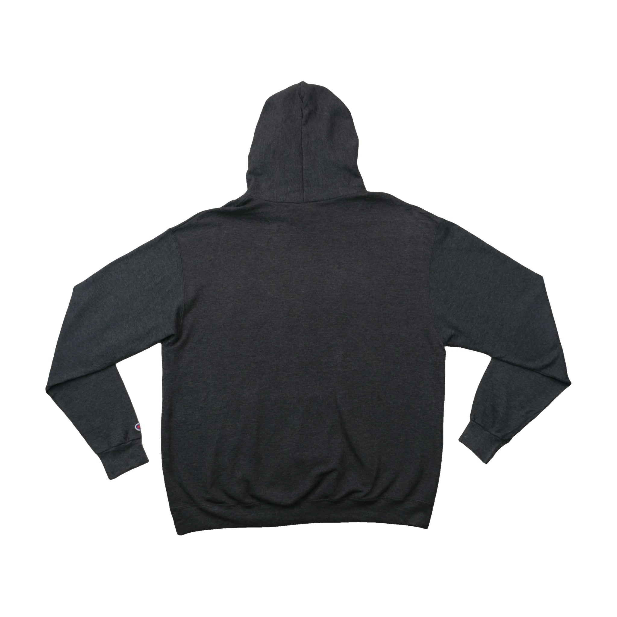Champion Florida Southern College Graphic Cotton Blend Fleece Hoodie