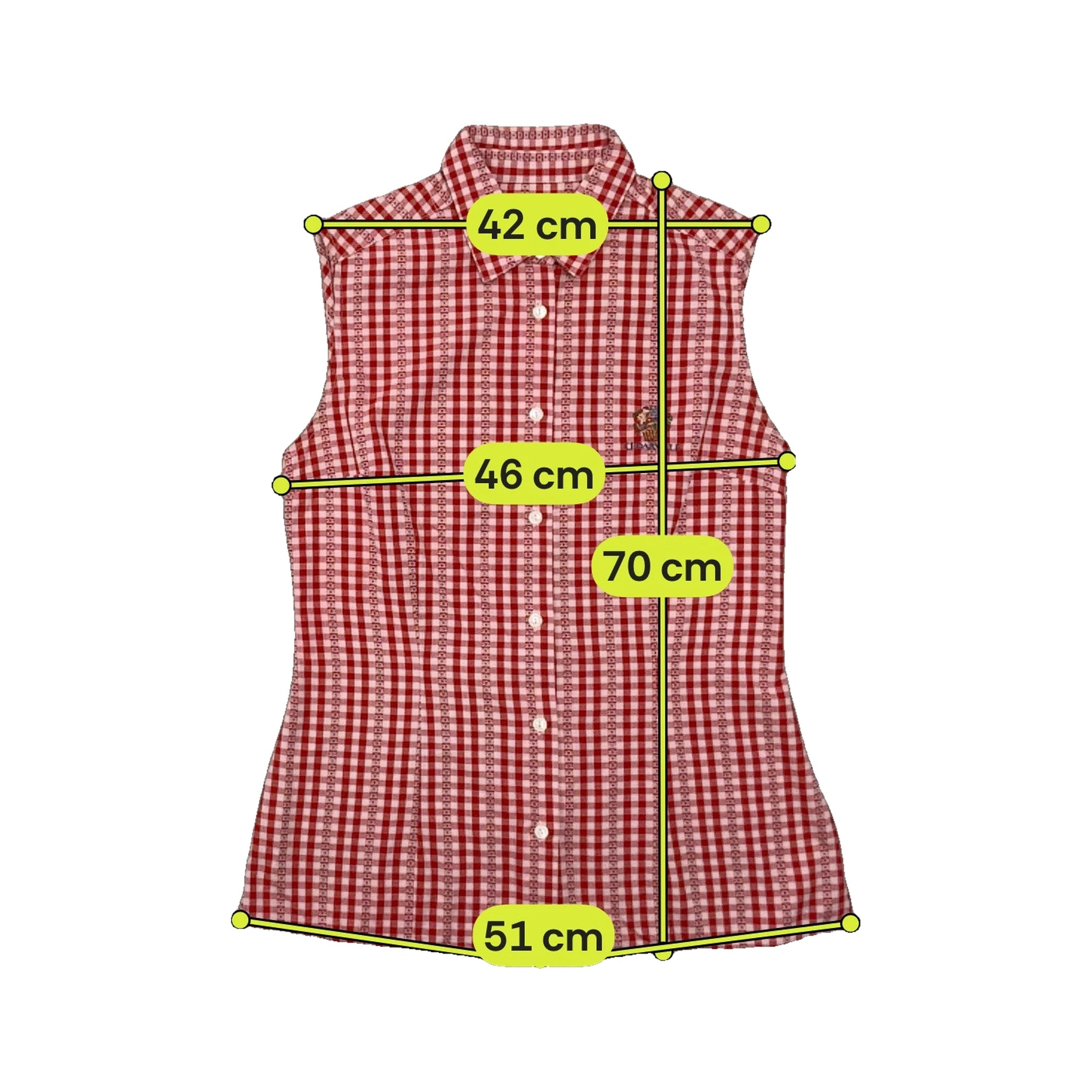 Cedarville Red Gingham Stripe Sleeveless Button-Up Shirt