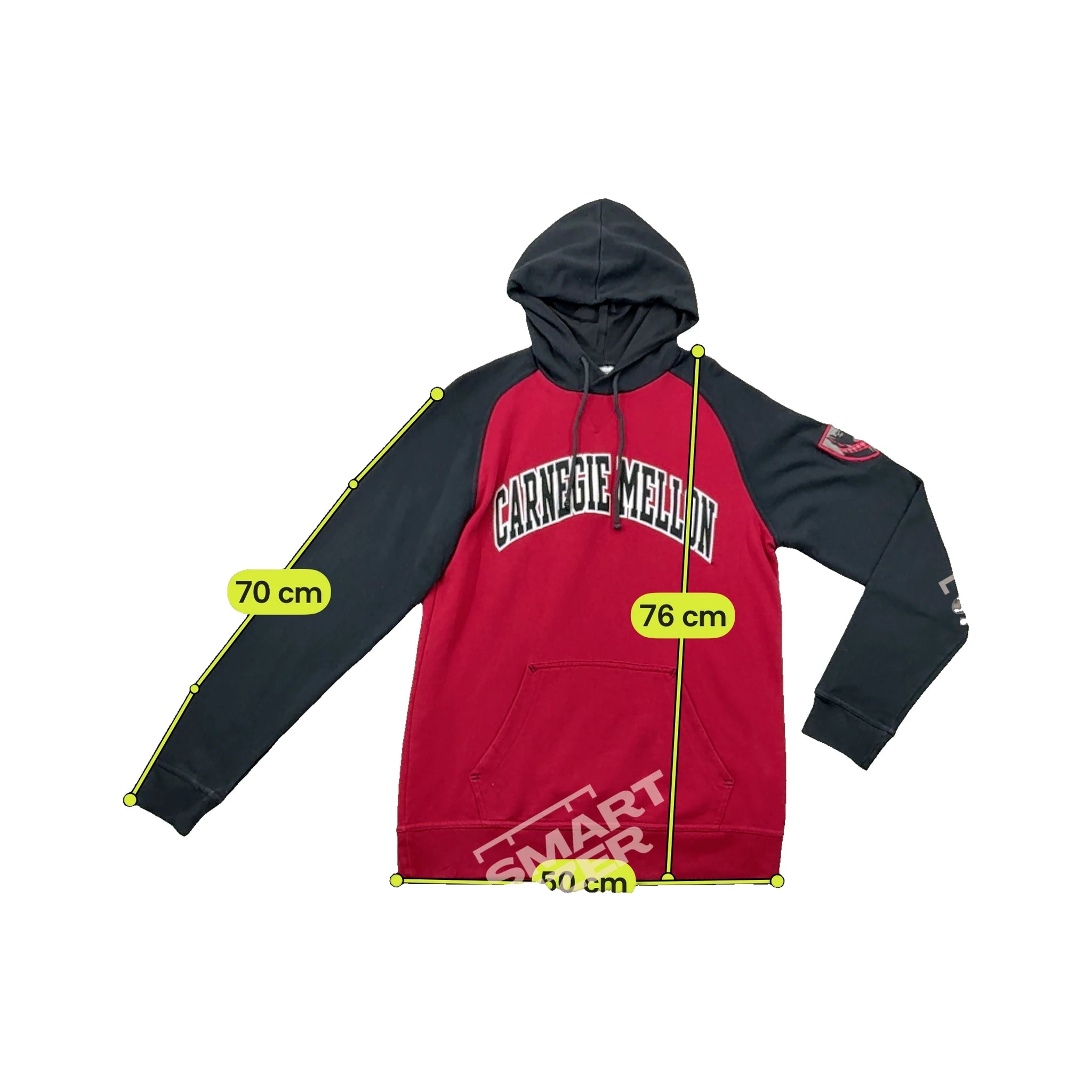 Champion Carnegie Mellon Colorblock Raglan Hoodie Fleece