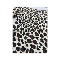 Leopard Print Sheer Mesh Long Sleeve Blouse