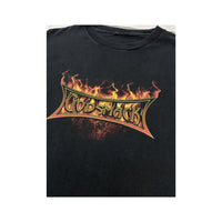 T-shirt de Banda Godsmack de Manga Comprida com Chamas na Manga