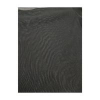 Transparent Black Glittery Top
