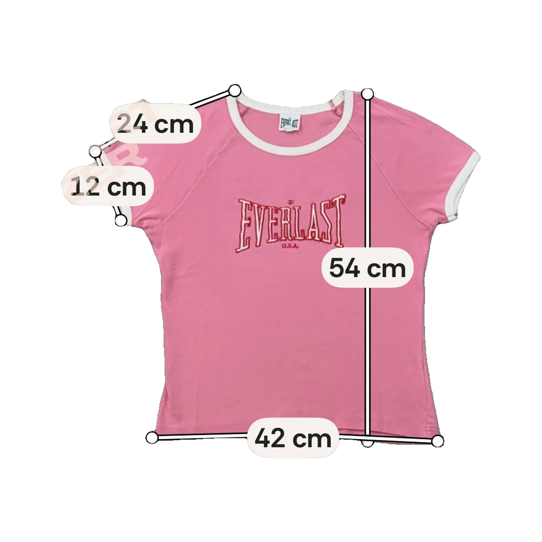 Everlast Logo Ringer Raglan Shirt