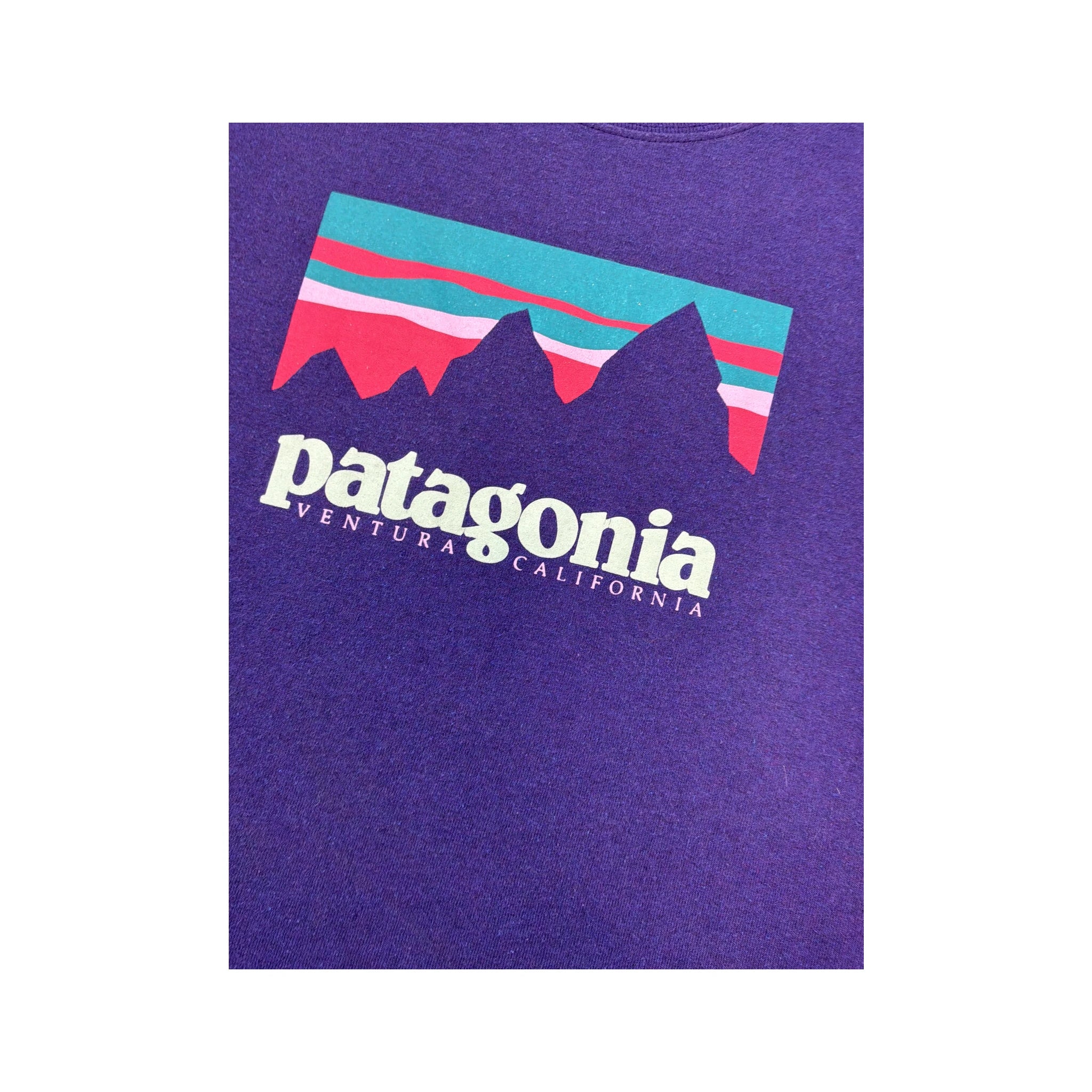 Patagonia Ventura California Graphic Shirt
