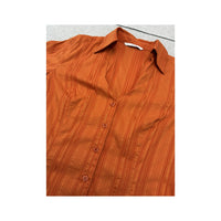 Xanaka Sheer Metallic Stripe Fitted Blouse